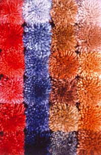 Carpet Fibers Image